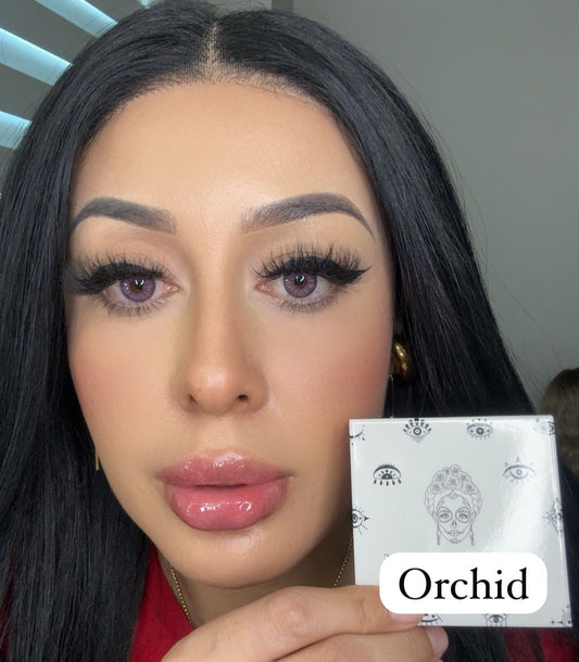 Orchid